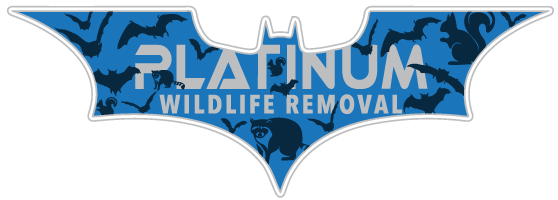 Williams County Animal Removal